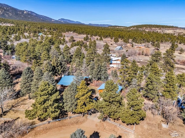 drone / aerial view featuring a mountain view