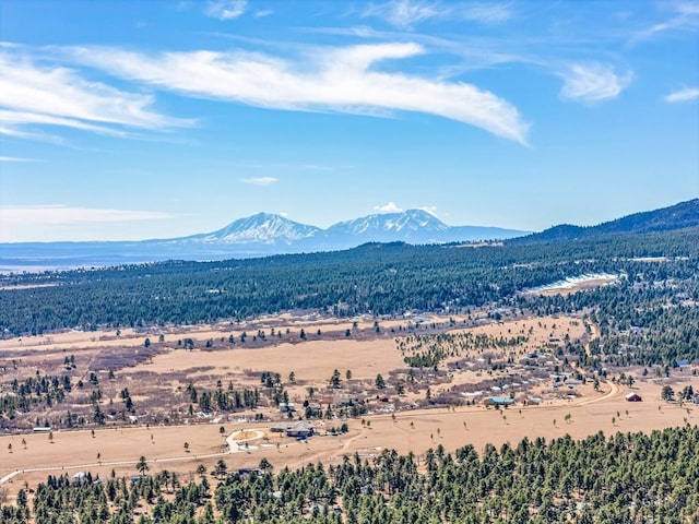 property view of mountains