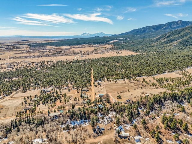 bird's eye view with a mountain view