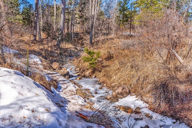 view of local wilderness