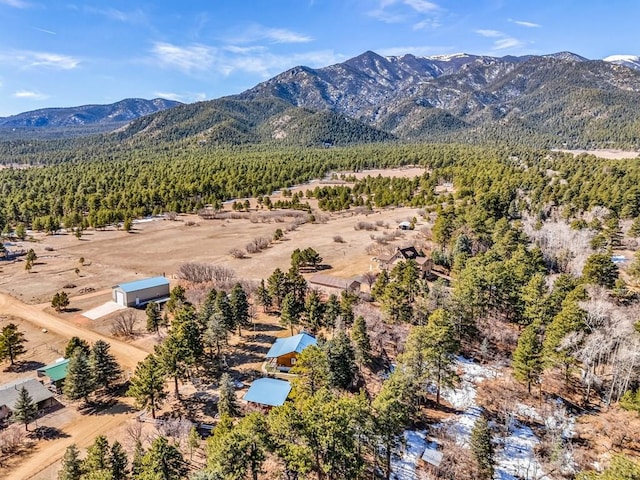 drone / aerial view with a mountain view