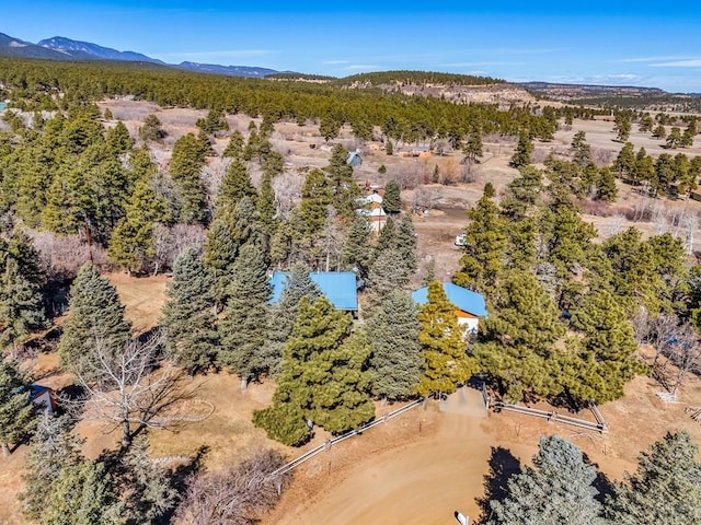 bird's eye view with a mountain view