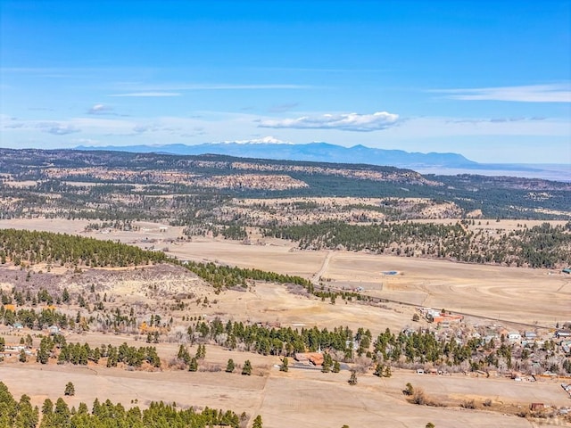 aerial view with a mountain view