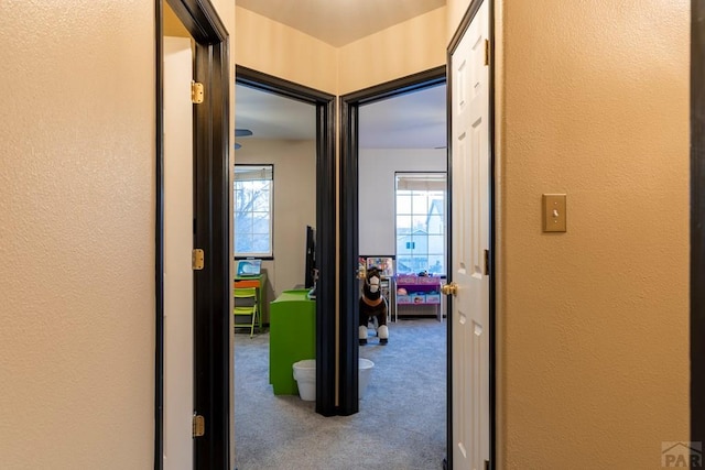 corridor with carpet floors and a textured wall