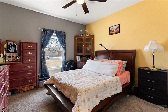 711 N Paradox Dr, Pueblo West, CO 81007 - photo 32
