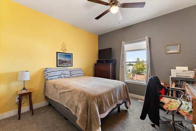 711 N Paradox Dr, Pueblo West, CO 81007 - photo 30