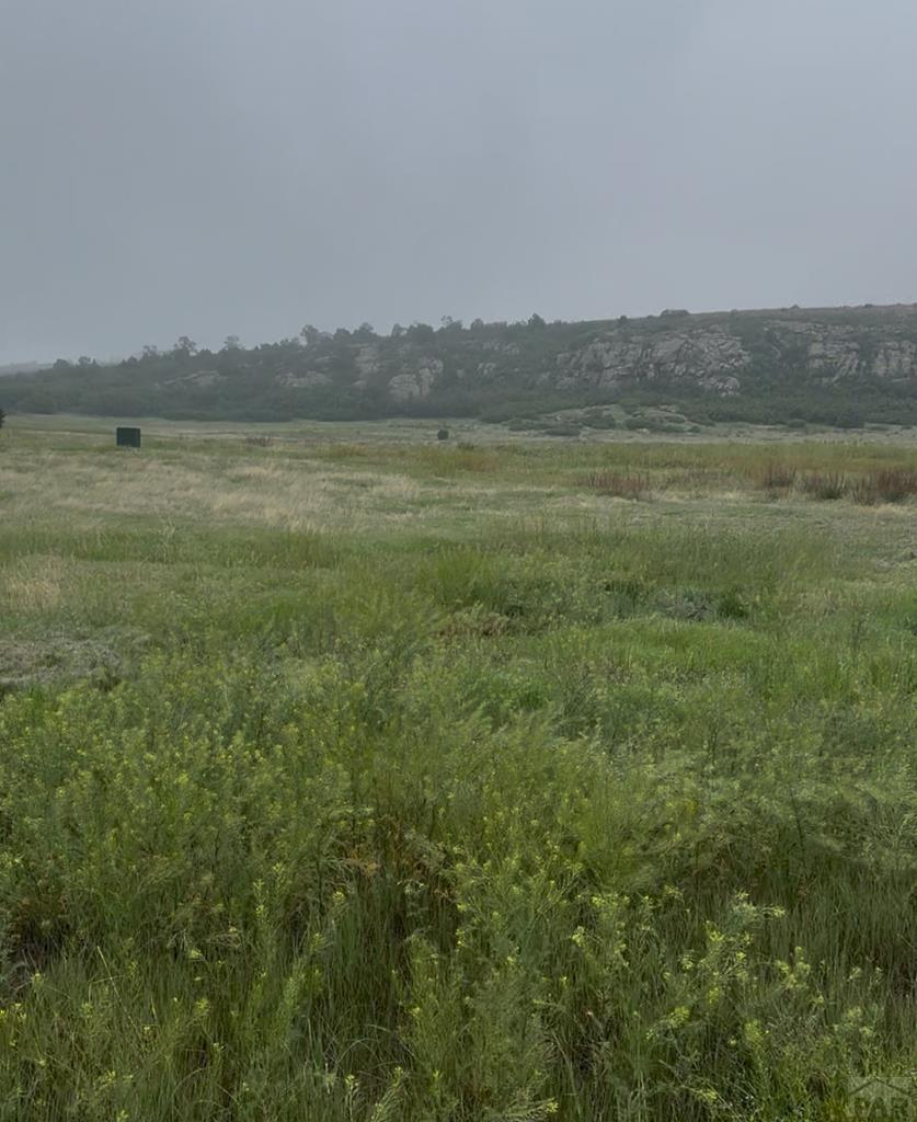 LOT272 W Colorado Blvd, Colorado City, CO 81019 - photo 1