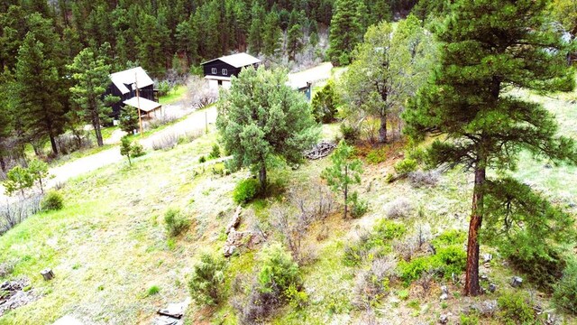 TBD Vine Mesa Ave, Beulah, CO 81023