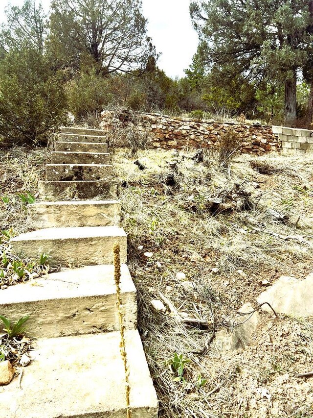 TBD Vine Mesa Ave, Beulah, CO 81023