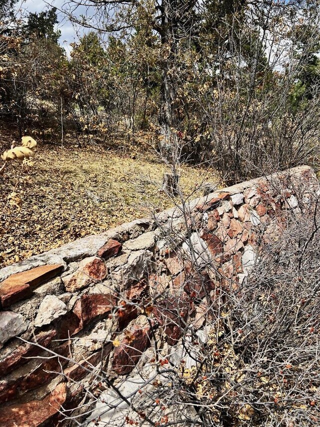 TBD Vine Mesa Ave, Beulah, CO 81023