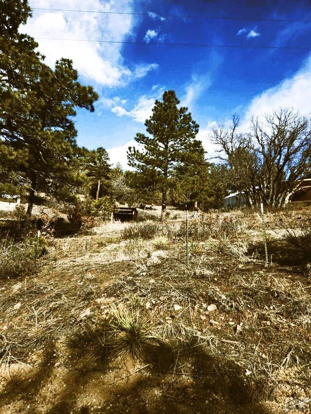 TBD Vine Mesa Ave, Beulah, CO 81023