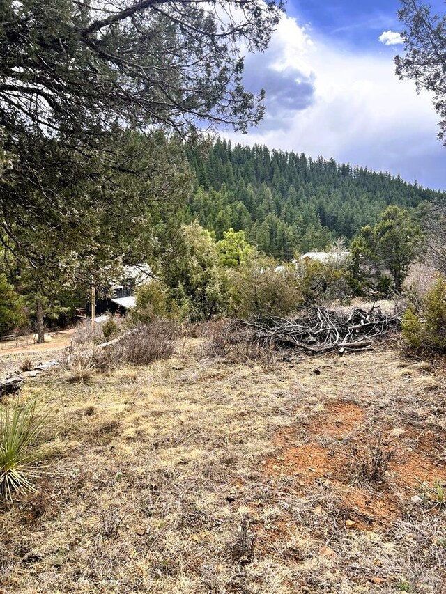 TBD Vine Mesa Ave, Beulah, CO 81023