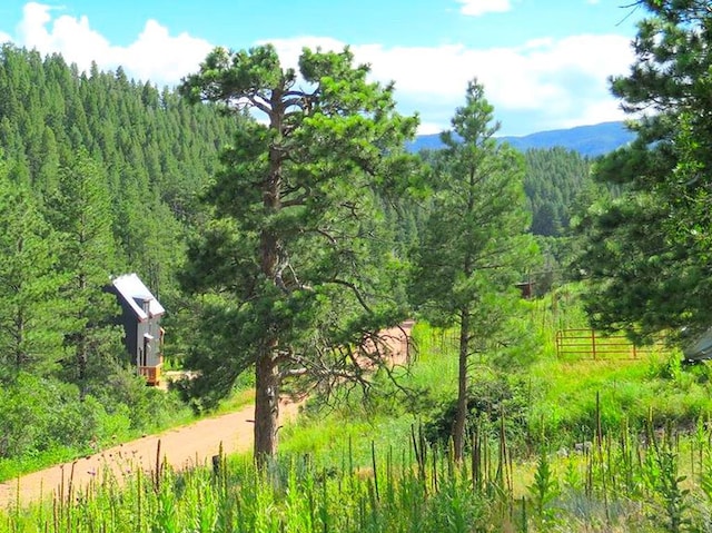 TBD Vine Mesa Ave, Beulah, CO 81023