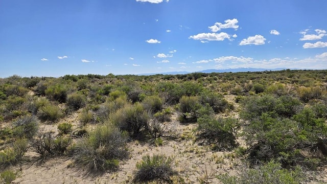 002 S County Road 4, Alamosa, CO 81101 - photo 9