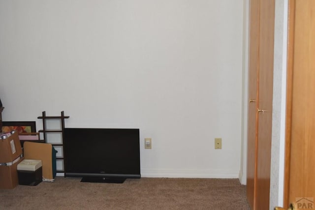 room details with carpet and baseboards