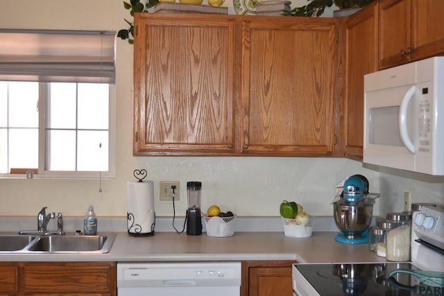 kitchen featuring brown cabinets, white appliances, light countertops, and a sink