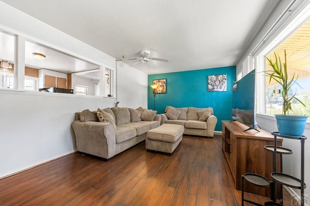 living room featuring a healthy amount of sunlight, an accent wall, ceiling fan, and dark wood-type flooring