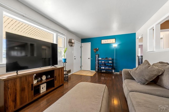 living room featuring a healthy amount of sunlight and hardwood / wood-style flooring