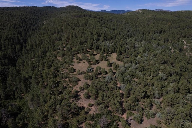 birds eye view of property with a forest view and a mountain view