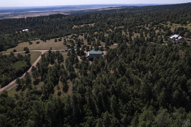 bird's eye view with a forest view