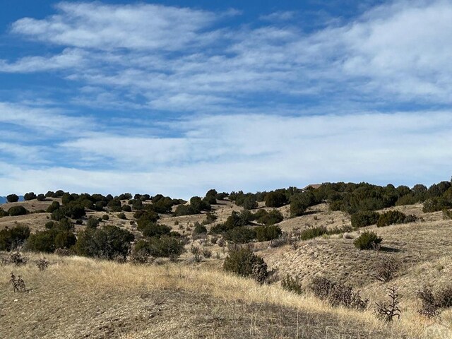 TBD Kaitlyn Drive, Pueblo, CO 81004 - photo 4