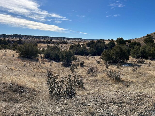 TBD Kaitlyn Drive, Pueblo, CO 81004 - photo 2