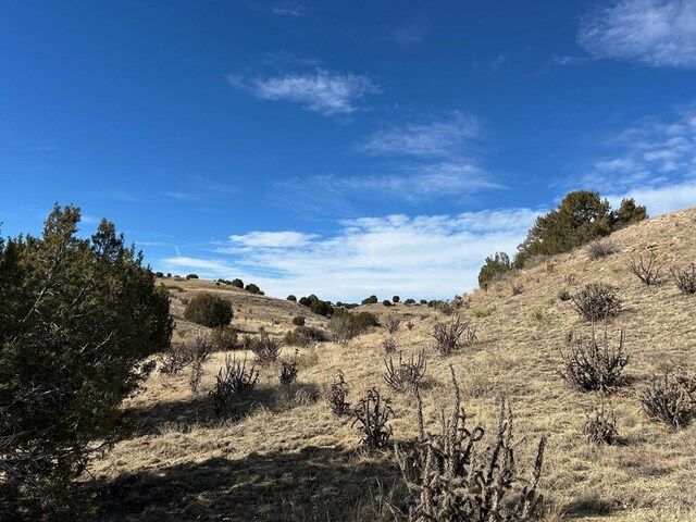 TBD Kaitlyn Drive, Pueblo, CO 81004 - photo 7