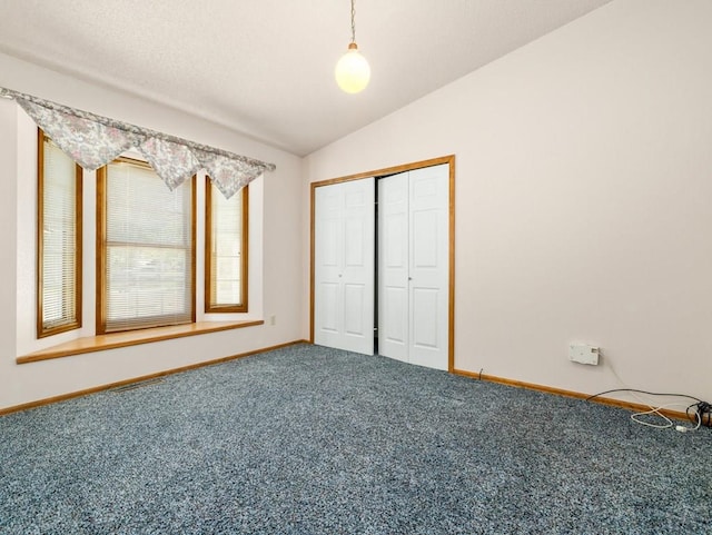 47 Ironweed Dr, Pueblo, CO 81001 - photo 19