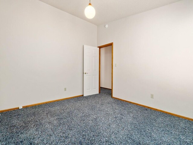 47 Ironweed Dr, Pueblo, CO 81001 - photo 20