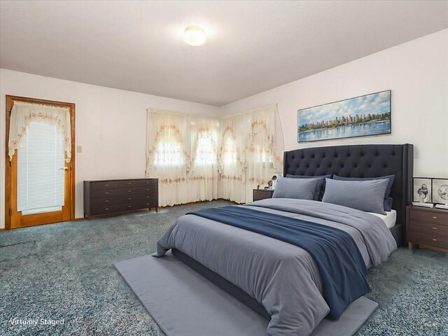 47 Ironweed Dr, Pueblo, CO 81001 - photo 22