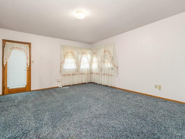47 Ironweed Dr, Pueblo, CO 81001 - photo 21