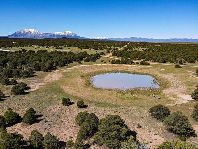 000 River Ridge Ranch, Walsenburg, CO 81089 - photo 34