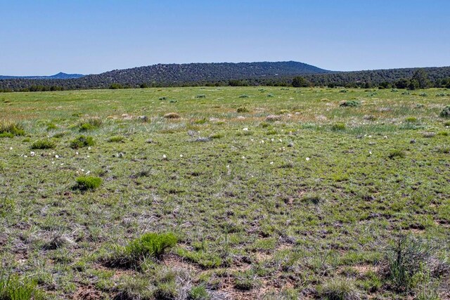 000 River Ridge Ranch, Walsenburg, CO 81089 - photo 8