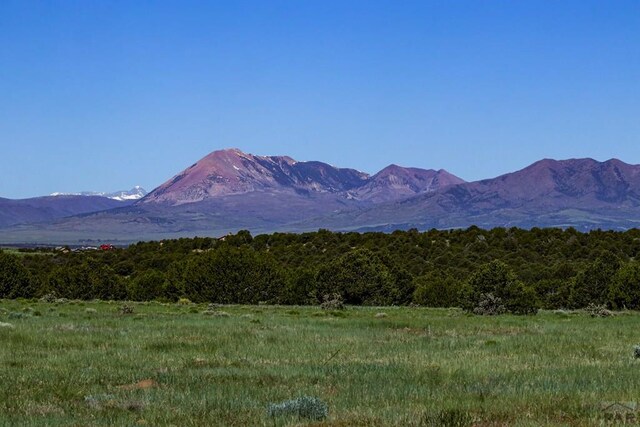 000 River Ridge Ranch, Walsenburg, CO 81089 - photo 7
