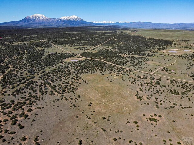 000 River Ridge Ranch, Walsenburg, CO 81089 - photo 26