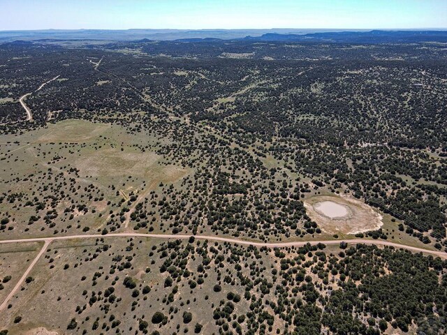 000 River Ridge Ranch, Walsenburg, CO 81089 - photo 21