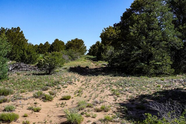 000 River Ridge Ranch, Walsenburg, CO 81089 - photo 13