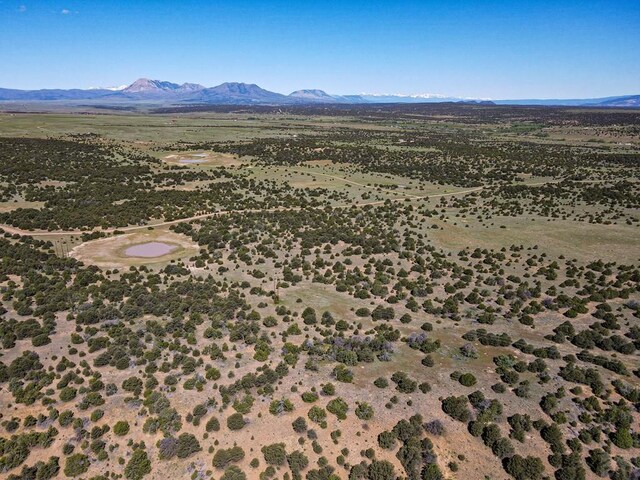 000 River Ridge Ranch, Walsenburg, CO 81089 - photo 29