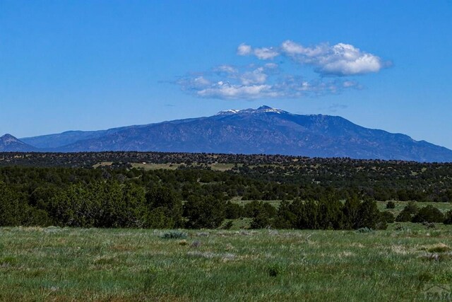 000 River Ridge Ranch, Walsenburg, CO 81089 - photo 6