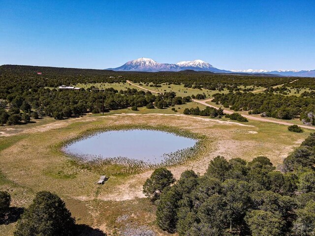 000 River Ridge Ranch, Walsenburg, CO 81089 - photo 35