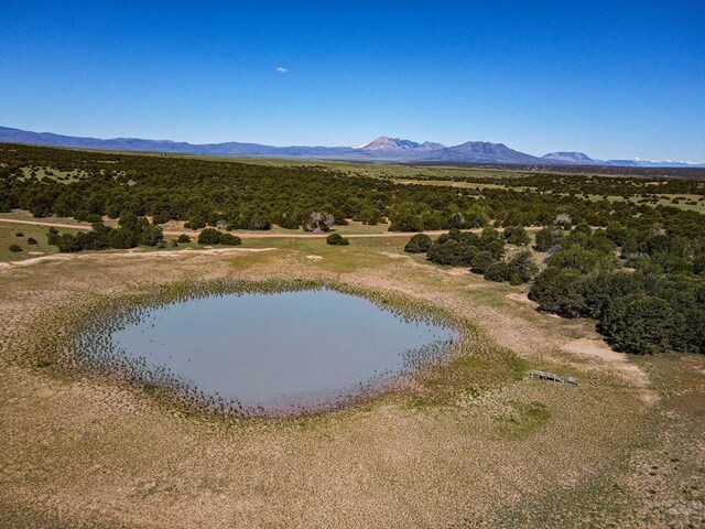 000 River Ridge Ranch, Walsenburg, CO 81089 - photo 33