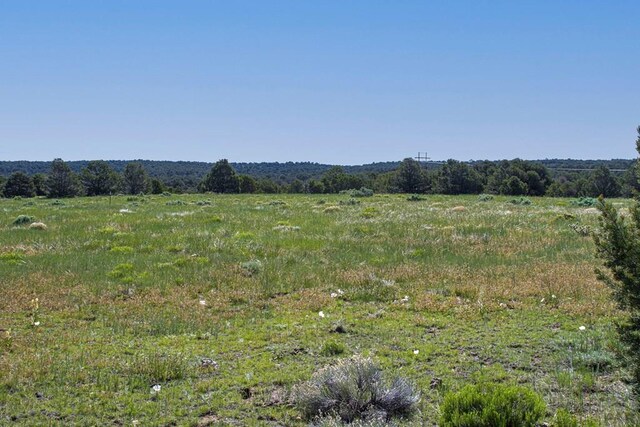 000 River Ridge Ranch, Walsenburg, CO 81089 - photo 10