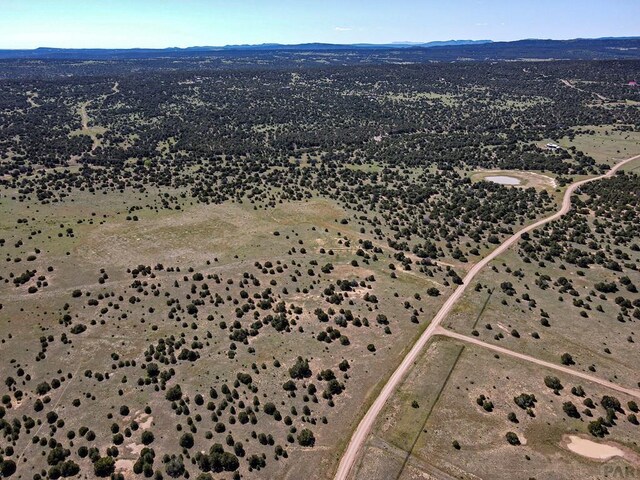000 River Ridge Ranch, Walsenburg, CO 81089 - photo 23