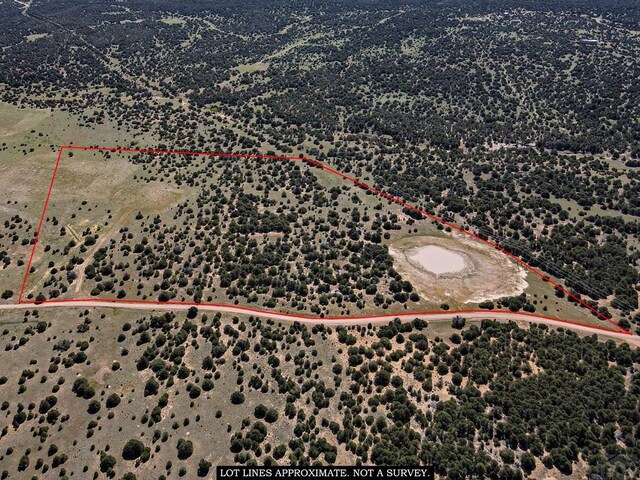 000 River Ridge Ranch, Walsenburg, CO 81089 - photo 16