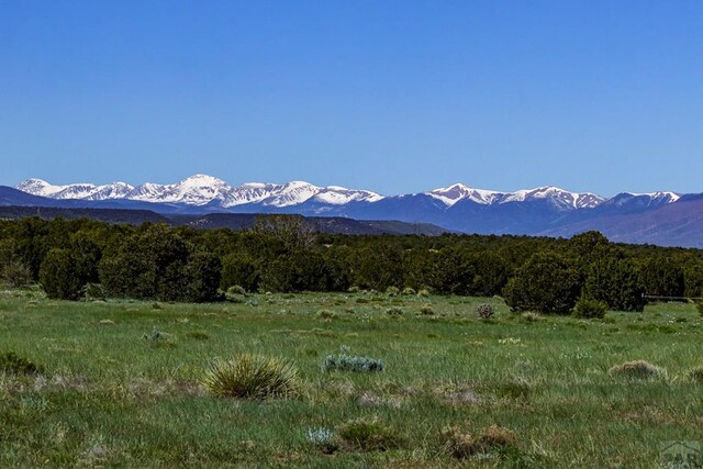 000 River Ridge Ranch, Walsenburg, CO 81089 - photo 5