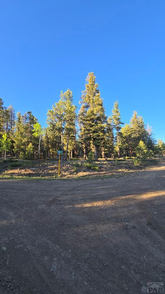 TBD Chubb Court, Buena Vista, CO 81211