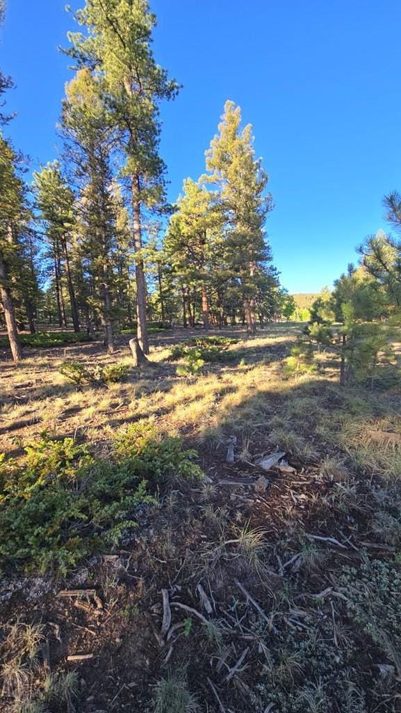 TBD Chubb Court, Buena Vista, CO 81211