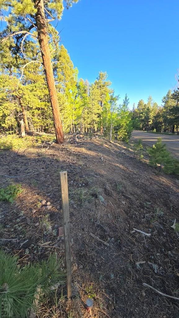 TBD Chubb Court, Buena Vista, CO 81211