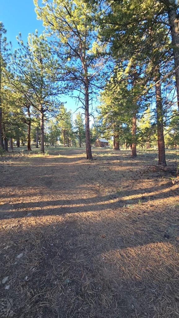 TBD Chubb Court, Buena Vista, CO 81211