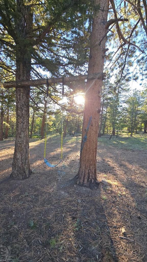 TBD Chubb Court, Buena Vista, CO 81211